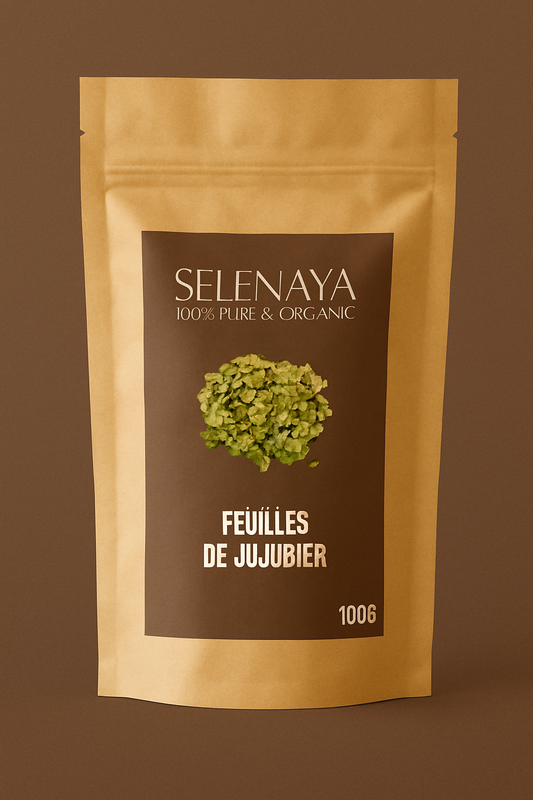 Feuilles de jujubier